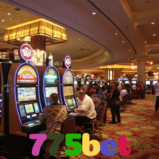  775bet