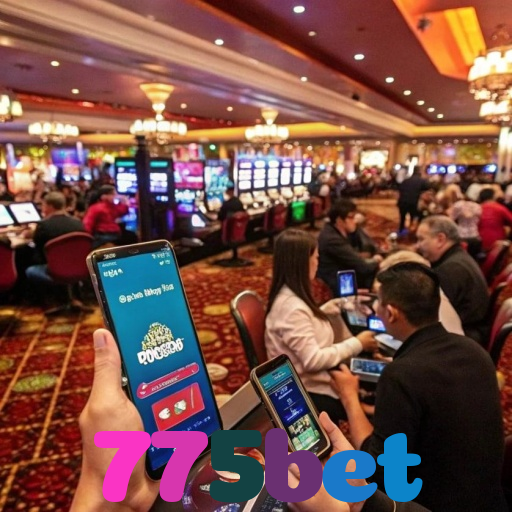  775bet